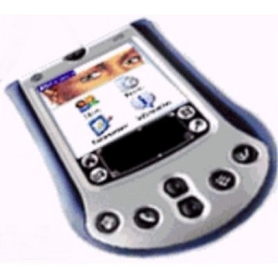 Cross Point RFID Palm Software Access control reader Cross Point access control operated by Palm™ powered handhelds