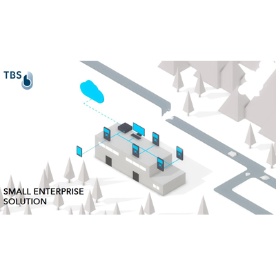 Touchless Biometric Systems (TBS) SMALL ENTERPRISE SOLUTION Access control system Touchless Biometric Systems (TBS) SMALL ENTERPRISE SOLUTION - biometric Plug & Play package
