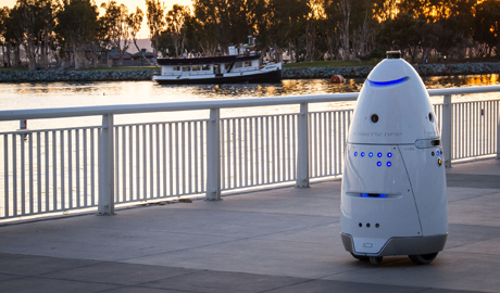 mobile security robot