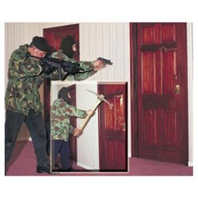 Safeguard Safehaven Access control system accessory Security & Bullet Resistant Doors from Safeguard Doors