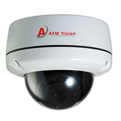 AFMVision AFM-VDA101SM2Ti IP Dome camera AFMVision AFM-VDA101SM2Ti 2 megapixel IR vandal proof dome IP camera