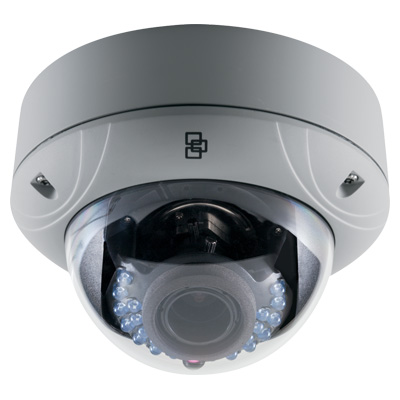TruVision TVD-3103 IP Dome camera TruVision TVD-3103 1/3 inch true day/night IP mini dome camera