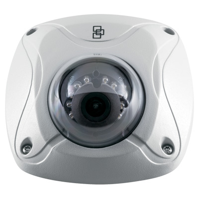 TruVision TVW-3101 IP Dome camera TruVision TVW-3101 Outdoor IR IP Wedge Dome Camera